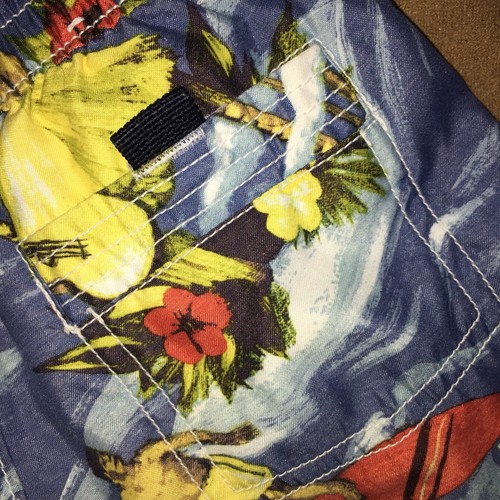 Baby Gap 18-24months Swim Trunks Shorts Multicolor Surfing Print