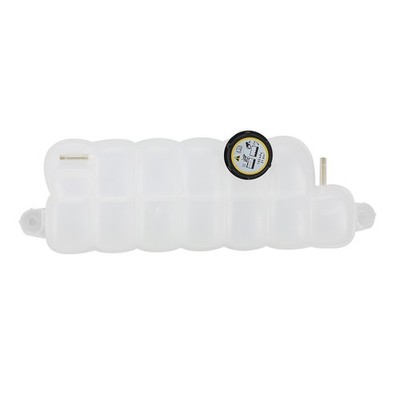 Coolant Reservoir w/ Cap for Ford F-150 Expedition Navigator 18-24 FL3Z-8A080-A