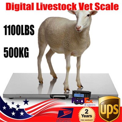 1100 Lbs Heavy Duty Digital Livestock Vet Scale Hog Pet Dog Sheep Goat Scale US