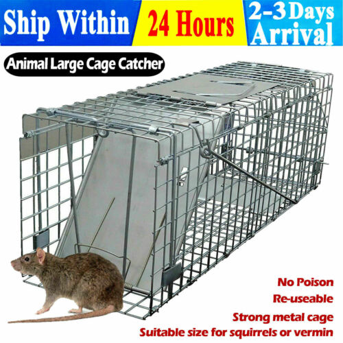 SQUIRREL TRAP HUMANE NO KILL METAL HEAVY DUTY PEST ANIMAL RAT CATCH CAGE BOX