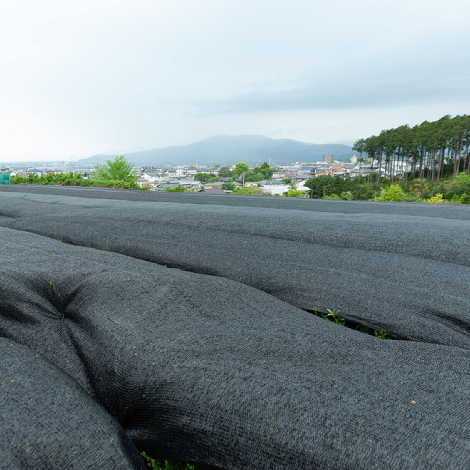 10x20FTResist Sun Shade Cloth Sunblock With Grommets Plants Patio Pergola Canopy