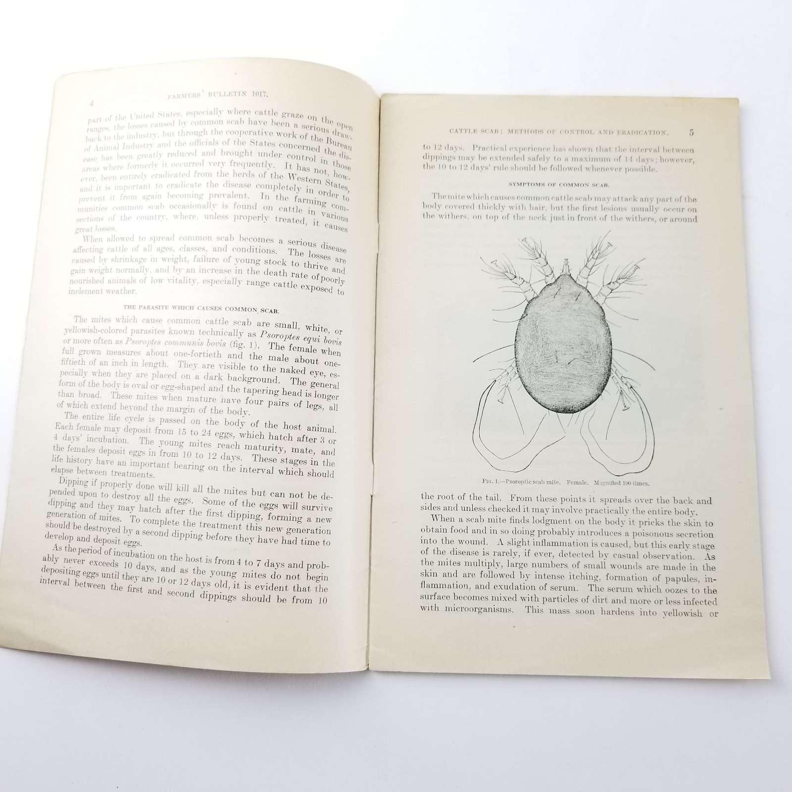 US Department of Agriculture Farmers Bulletin 1017 Cattle Scab Eradication