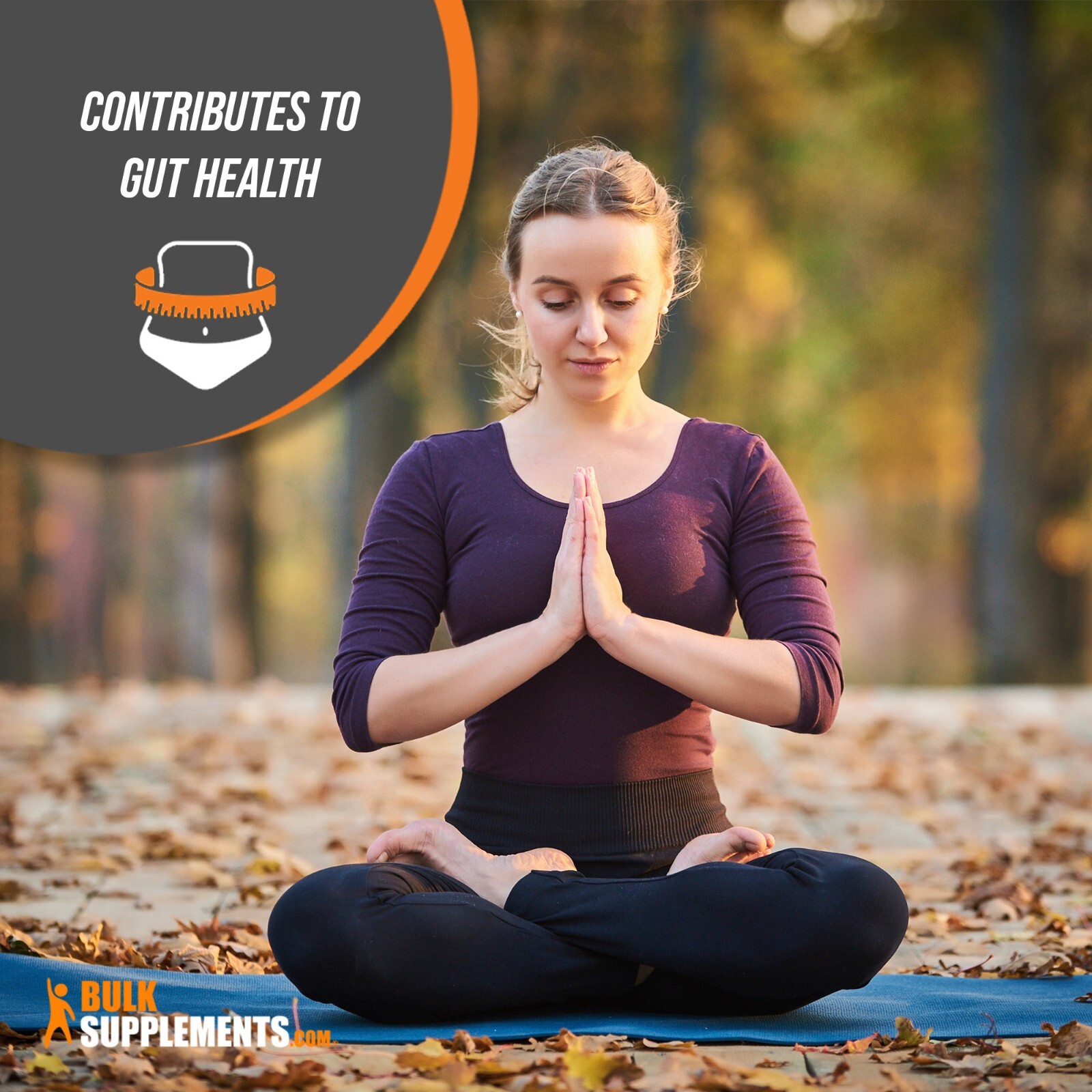 BulkSupplements Boswellia Serrata Extract 240 Capsules - 1000 mg Per Serving