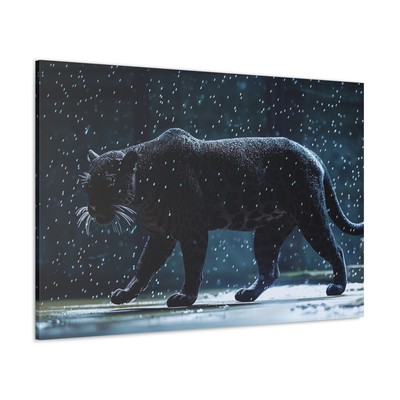 Natural art Black Jaguar walking in the rain,Image capture of a jaguar in motion