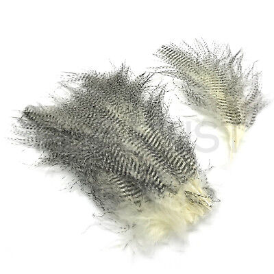 FINE BLACK BARRED MARABOU - Hareline Fly Tying Feathers - 10 Colors Available!