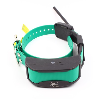 syncing sportdog collar