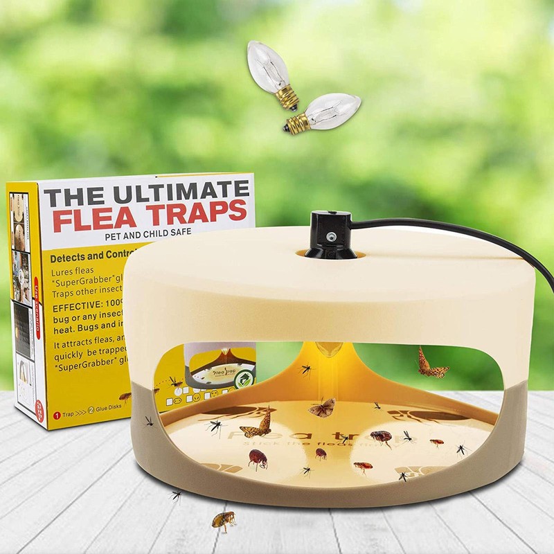 Flea Trap Sticky Dome Bed Bug Trap Pest Control Trapper Insect Killer Non-Toxic