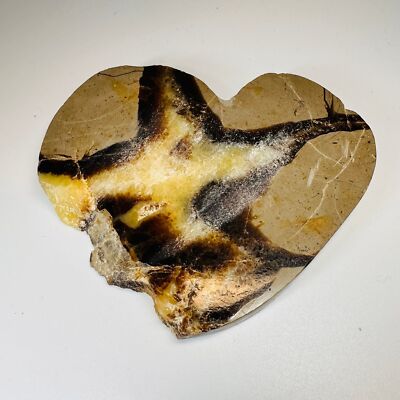 Heart Shaped Septarian Slab Display Slab 3 x 3 in 10mm Thick Lapidary Fine Rough