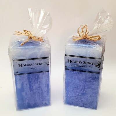 Eucalyptus Candle Holiday Scents Discovery Channel Store Rectangular - Lot of 2