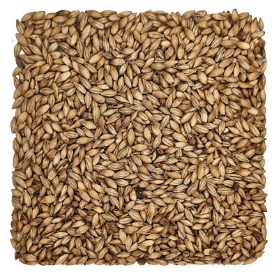 Home Brew Ohio Hell Malt Caramel 8L Grain 5lb