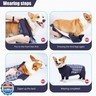 Pinellia Dog Recovery Suit, Abdominal Wound After Surgery Wear, Anti Licking Bodysuit with Zipper, E-Collar and Cone Alternatives, Plaid Dog Spay Surgical Shirt Prevent Shedding(2XL, Blue)