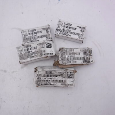 5 Pack OHMITE Resistor 250 ohm, L25 Series