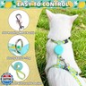 PUPTECK Adjustable Cat Harness and Leash Set Escape Proof Kitten Strap Collar for Walking Travel, Lemon Pattern