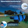 Petglad Dog Life Jacket with 4ft Leash, Reflective Pet Life Vest with Zipper and Handle for Swimming Boating, Adjustable High Buoyancy Floatation Swim Vest for Small Medium Large Dogs - Blue, XL