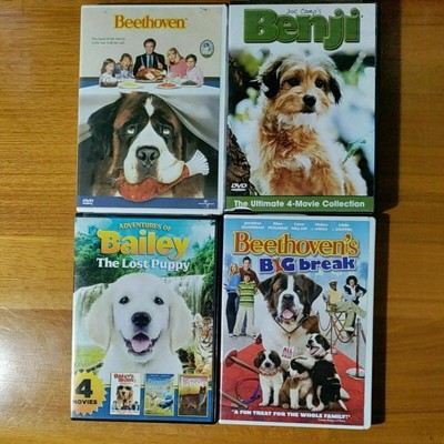 アニマルムービー ベートーベンセット Beautyinthebackcountry Com