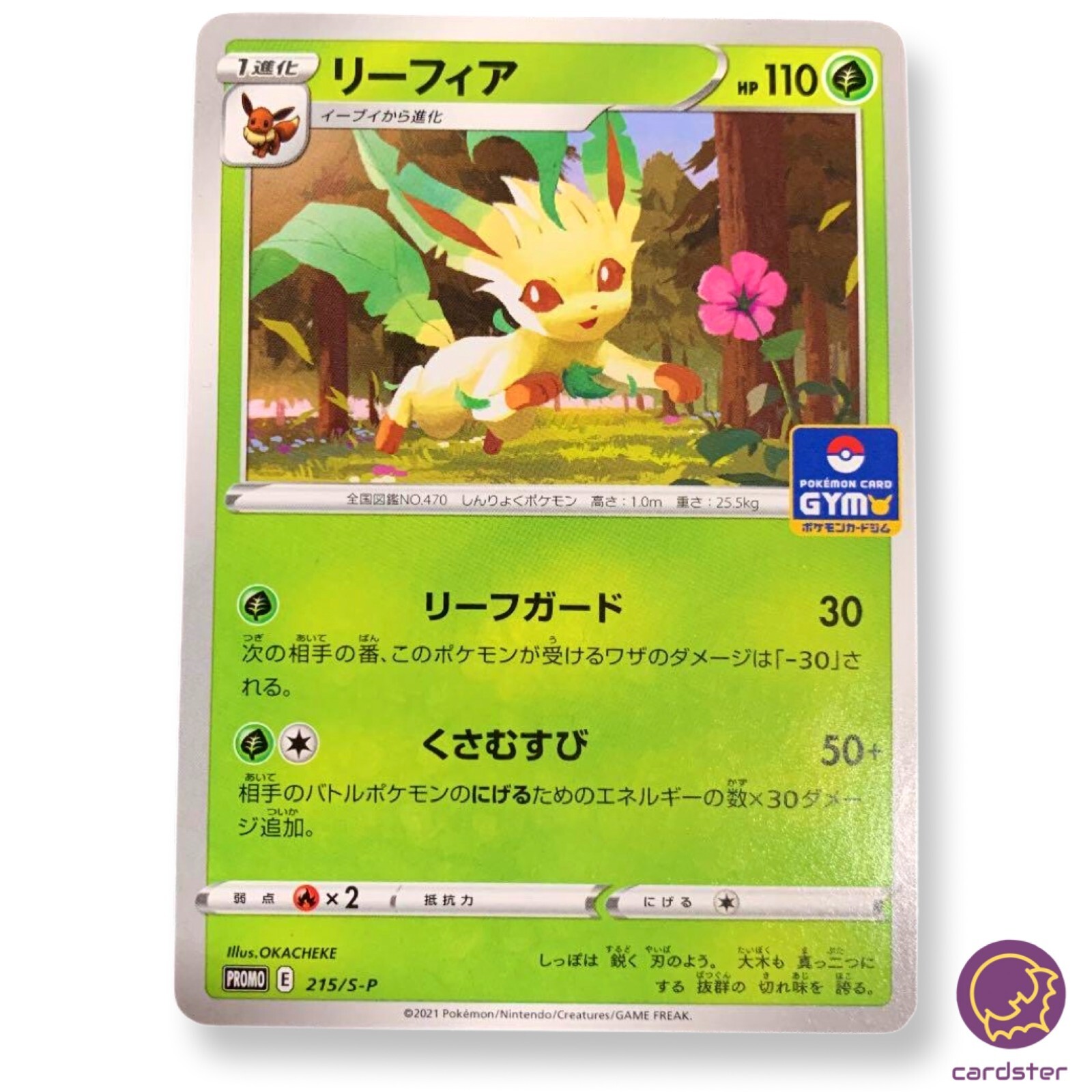 【PSA10】ポケモン リーフィア Pokémon card LEAFEON PSA 10 Leafeon Vmax Full Art #204 2021 Pokemon Evolving