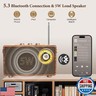 FREEFISH Portable Retro Speaker Bluetooth Radio Vintage Decor with FM Radio Rich Bass Bluetooth Speakers 5.3 Wireless Connection,TF Card, AUX for Home Office Bedroom