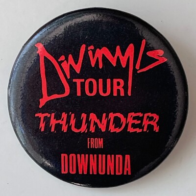 Vintage 86 DIVINYLS promo pin Thunder From Downunda Tour badge Chrissy Amphlett