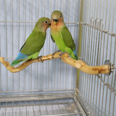 Bird Cage Parrot Bird Perch Wood Parakeet Perch Natural Wood Bird Perch Stand