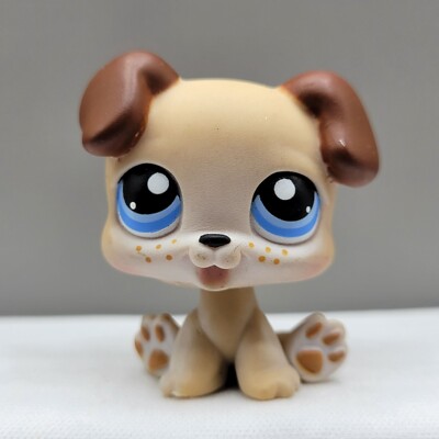 Littlest Pet Shop LPS #143 Puppy Dog Figure Hasbro Toy Beige Brown Blue Eyes