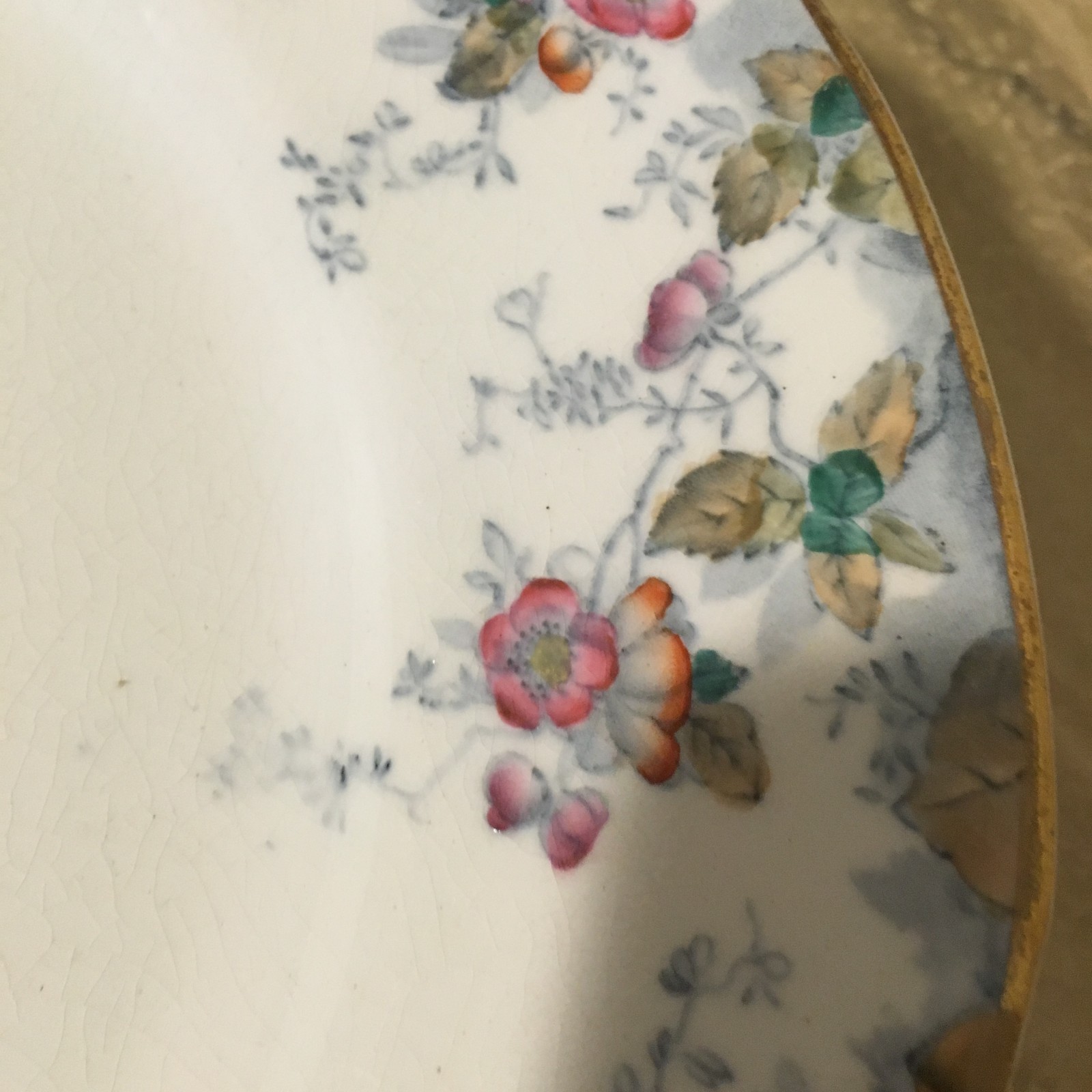 10 Antique Ridgways Royal Semi Porcelain Floral Dinner Plates Claredon 1800's