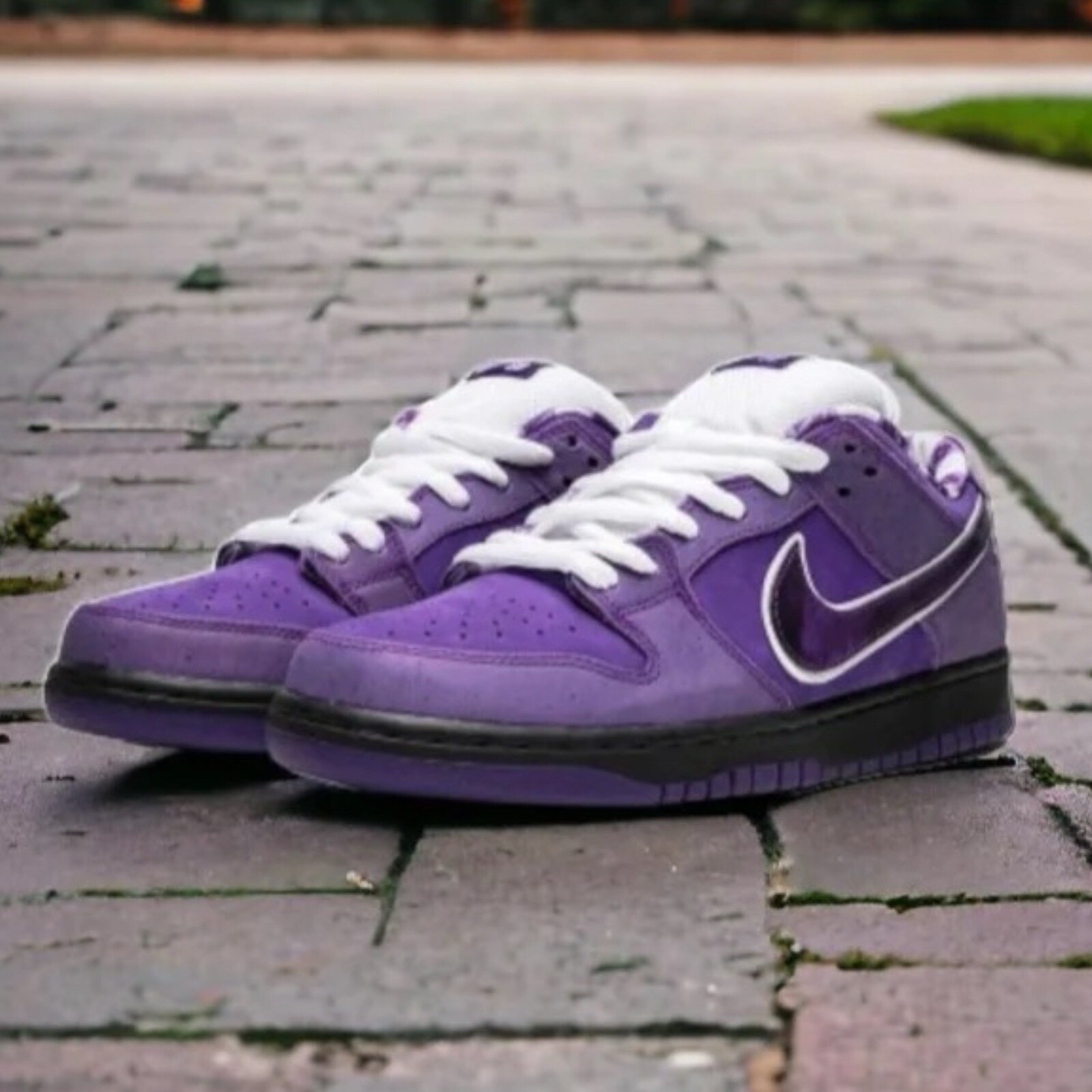 靴 NikeSB Dunk Low Purple Lobster Concepts s-l400.jpg