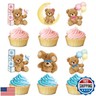 30pcs Bear Gender Reveal Decorations Cupcake Toppers Bear Gender Reveal Cake Decorations Boy Girl Twins Baby Shower