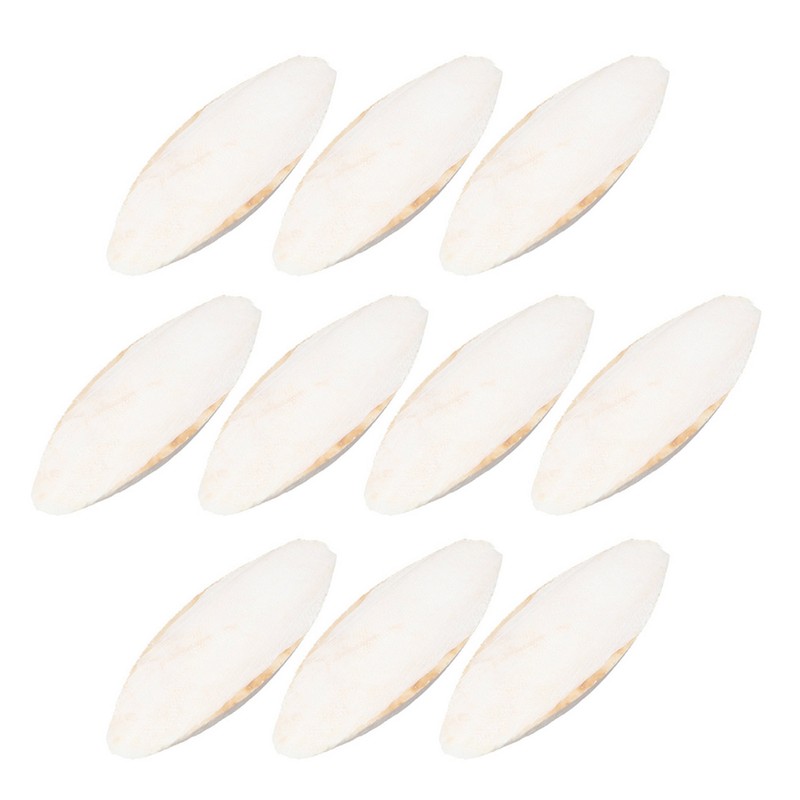 10pcs Cuttlebone for Birds Parrot Chewing Cuttle Bone for Sharp Beaks