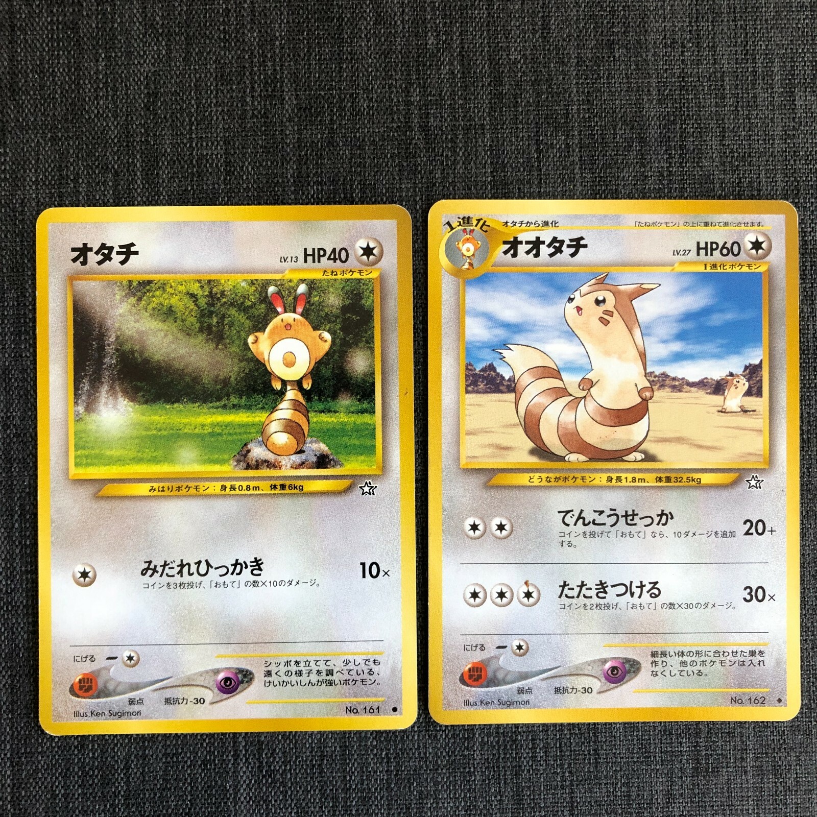Sentret #161 Evolution set Pokemon TCG Old back Japanese