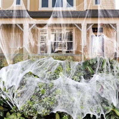 900 sqft Spider Webs Halloween Decorations Bonus with 30 Fake Spiders, Super ...