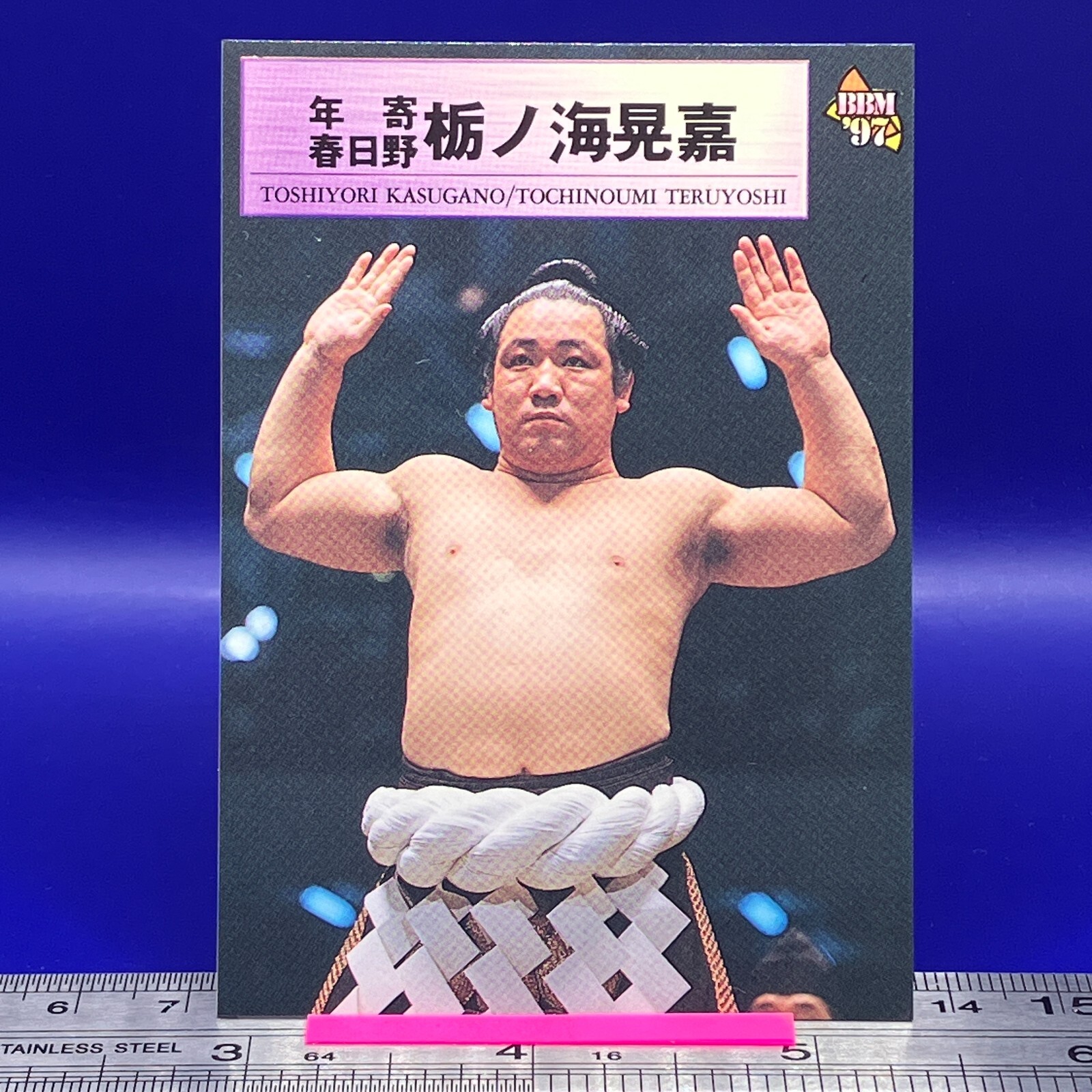 Tochinoumi Teruyoshi Sumo Wrestler Trading Card BBM 1997 TCG