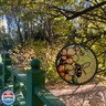 Sizavi Bee Suncatcher Stained Glass Suncatchers 7.87 Inch Stained Glass Ornament for Home Decor Indoor Wall Art for Mother Women Friends