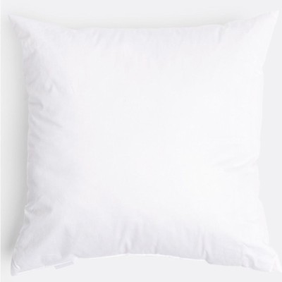 Feather and Down Pillow Insert, 16  x 16 Square #0915241