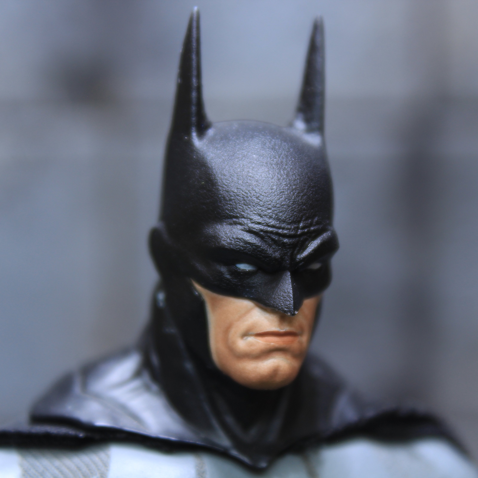 1/12 Custom DC Universe Bruce Wayne Batman Long Ears Head