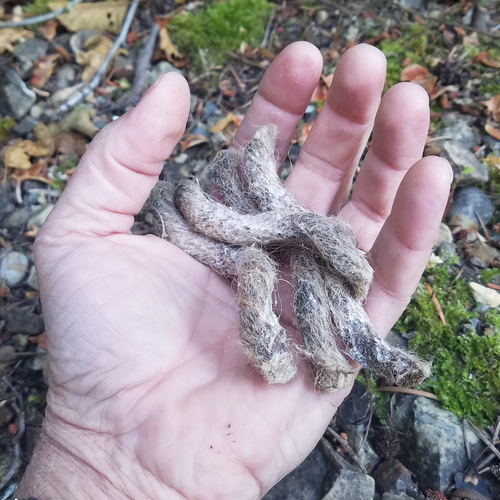 Coopers Bay® FireRope™ | Fire Starting Tinder for for Camping/Survival | 5 pk