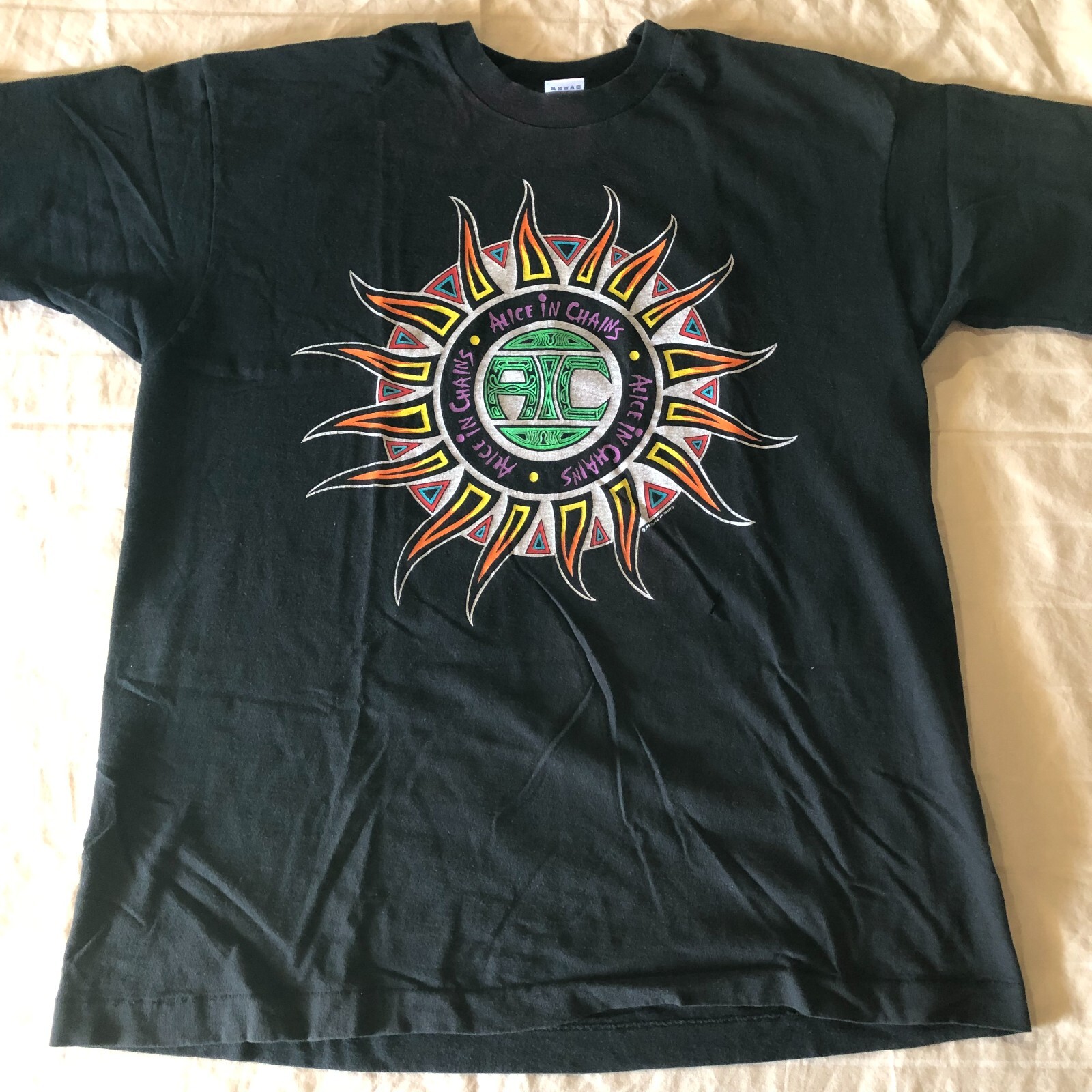 ダメージAlice In Chains Tシャツ　vintage _57.JPG?set_id=880000500F
