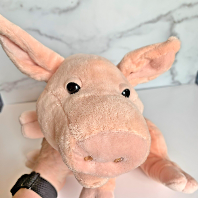 Snoring pig on sale toy