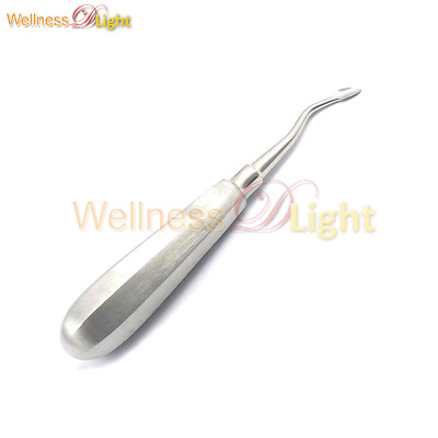 Premium Stainless Steel Dental Root Tip Elevator Right Spade Surgical Dentist 