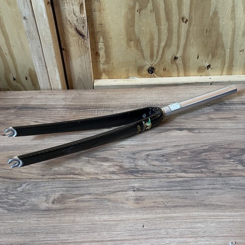 Carbon Alloy Steerer Fork 1 1/8 Threadless 43 Rake 250mm