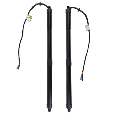 Pair Rear Tailgate Power Hatch Lift Support Strut For Porsche Panamera 970 10-16