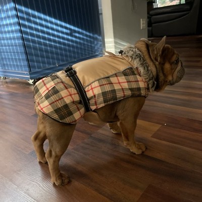 Fotos del artículo de un comprador verificado