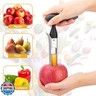 Apple Corer, Premium Stainless Steel Apple Corer Tool,Sturdy Ergonomic Handle, Easy to Use and Clean, Durable,Remover for Pears, Bell Peppers, Fuji, Honeycrisp, Pink Lady Apples (black)