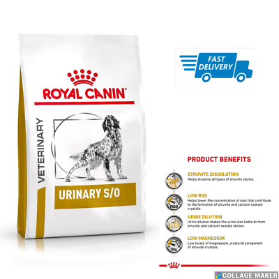 Dissolution diet for dogs sales
