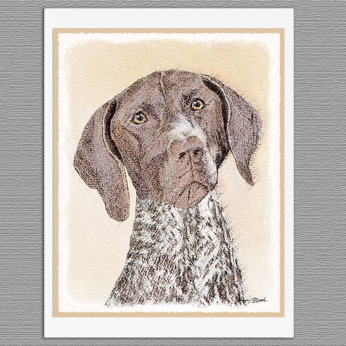 6 German Shorthaired Pointer Blank Art Note Greeting Cards