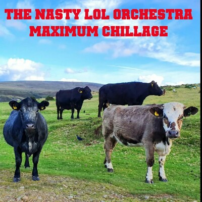 Maximum Chillage - THE NASTY LOL ORCHESTRA / KLF. Orb, Biosphere, Ambient, IDM.