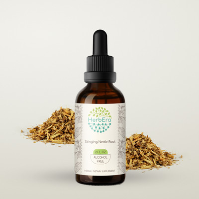 HerbEra Stinging Nettle Root Alcohol-FREE Tincture (Urtica Dioica)