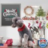 PETCARE Reindeer Christmas Dog Sweater Gray Cat Sweater Vest Cartoon Elk Pet Holiday Dog Clothes Puppy Sweaters for Small Medium Large Dogs Cats Fall Winter Outfits Xmas Dog Costume,XX-Small