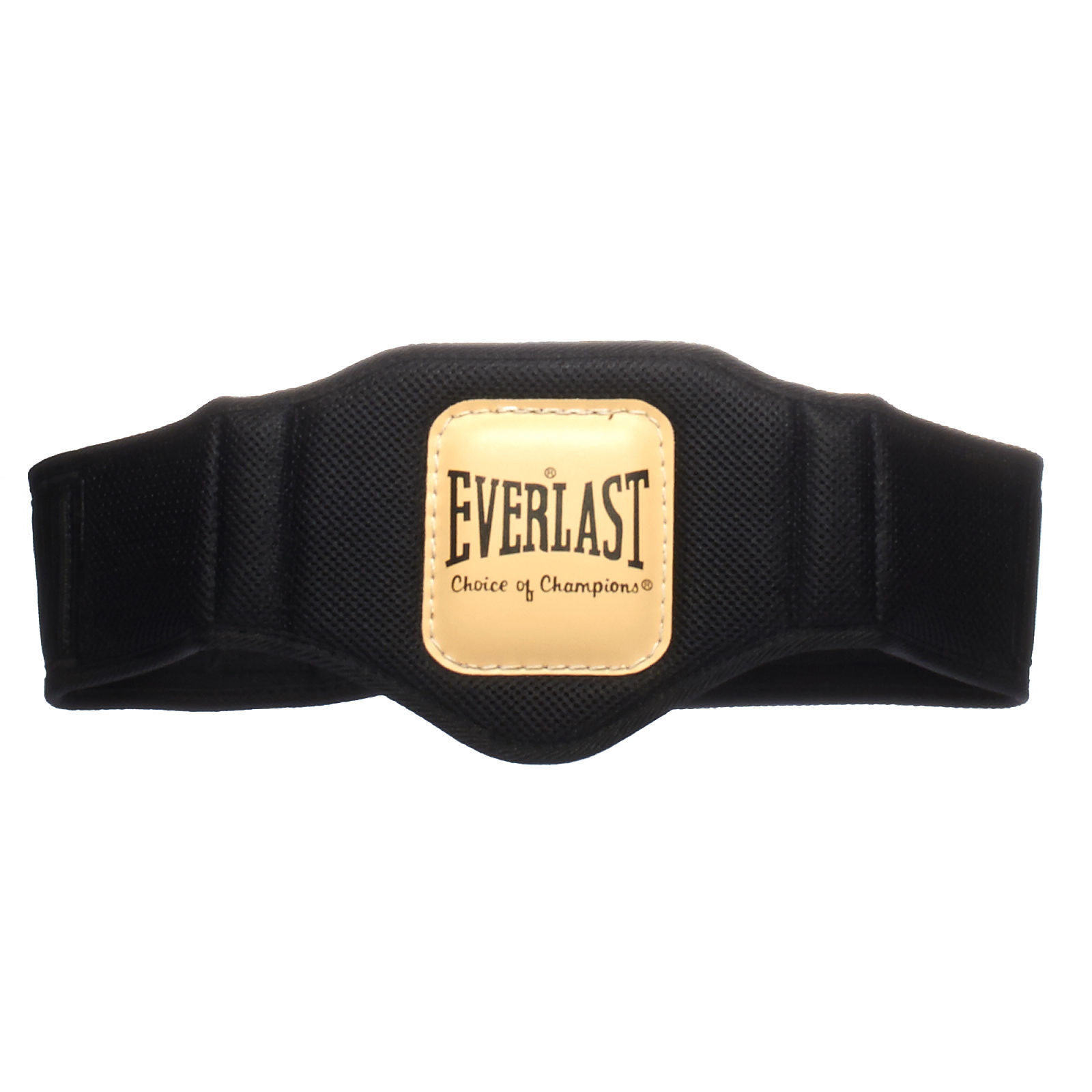 Everlast Weight Lifting Belts