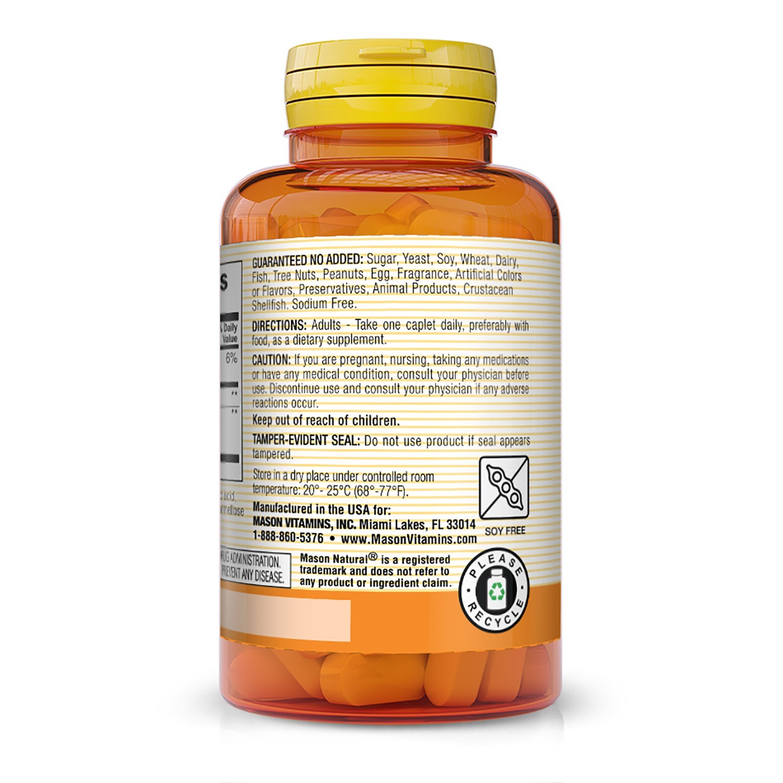 Mason Natural Brain Power w/ Sage Extract. Mental Focus & Positive Mood, 60 Caps