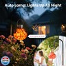 Hummingbird Feeder with Solar Light, Glass Hummingbird Feeder for Outdoors, Auto-Lighting Solar Light for Garden Decor, 3 Ports Attract More Birds, Waterproof Lamp, Ideal Gift, Red